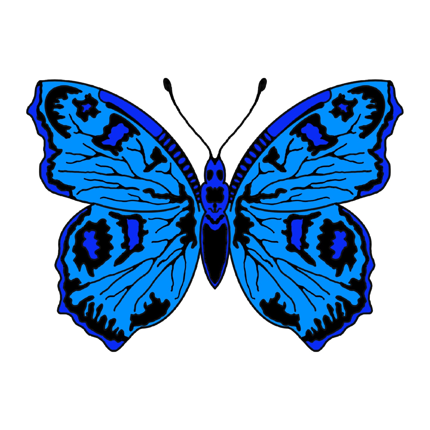 Blue Bayou Butterfly
