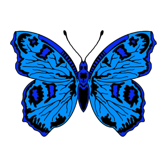 Blue Bayou Butterfly