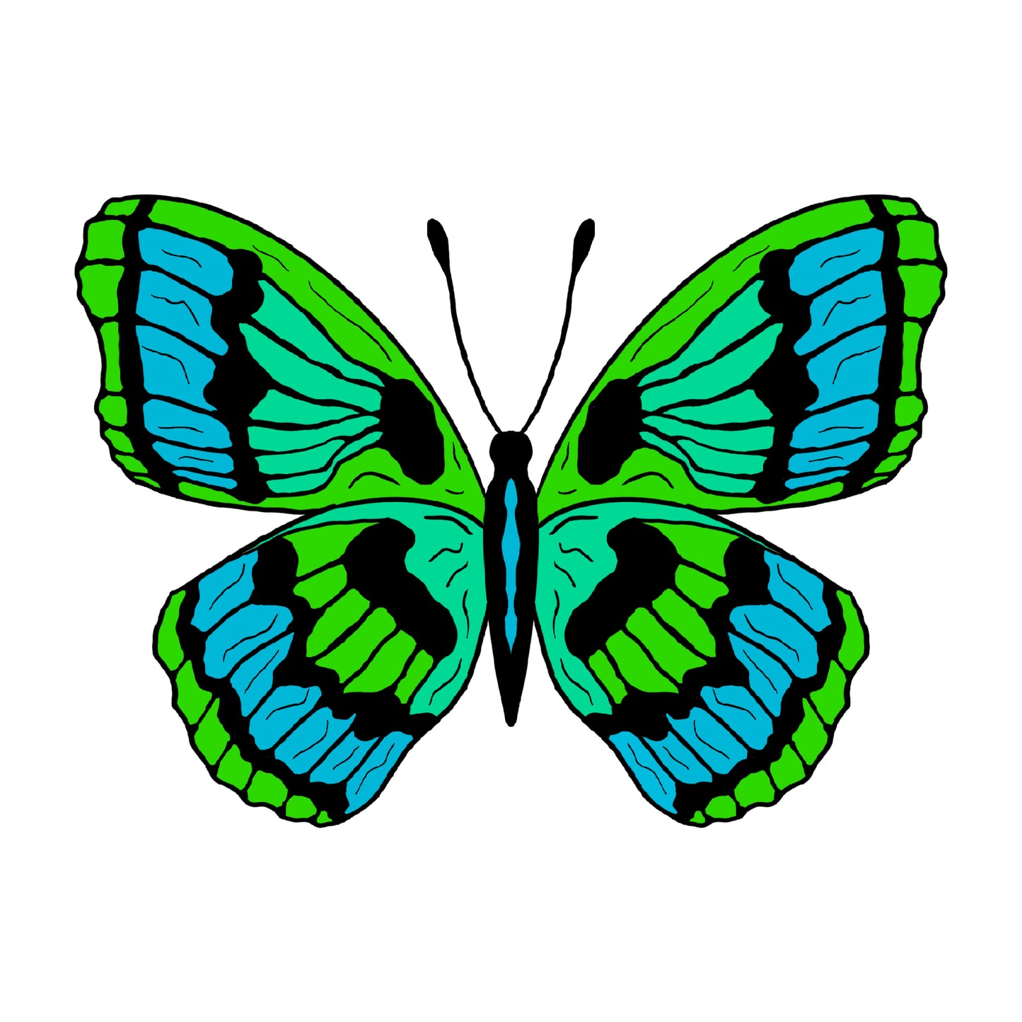 Silk Butterfly