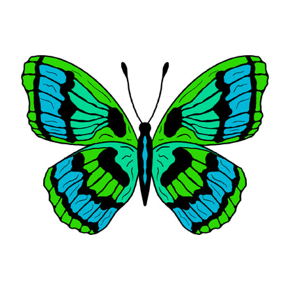 Silk Butterfly