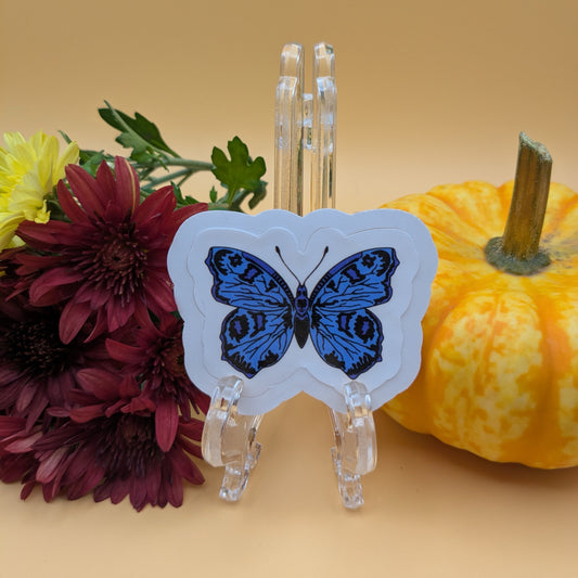 Blue Bayou Butterfly