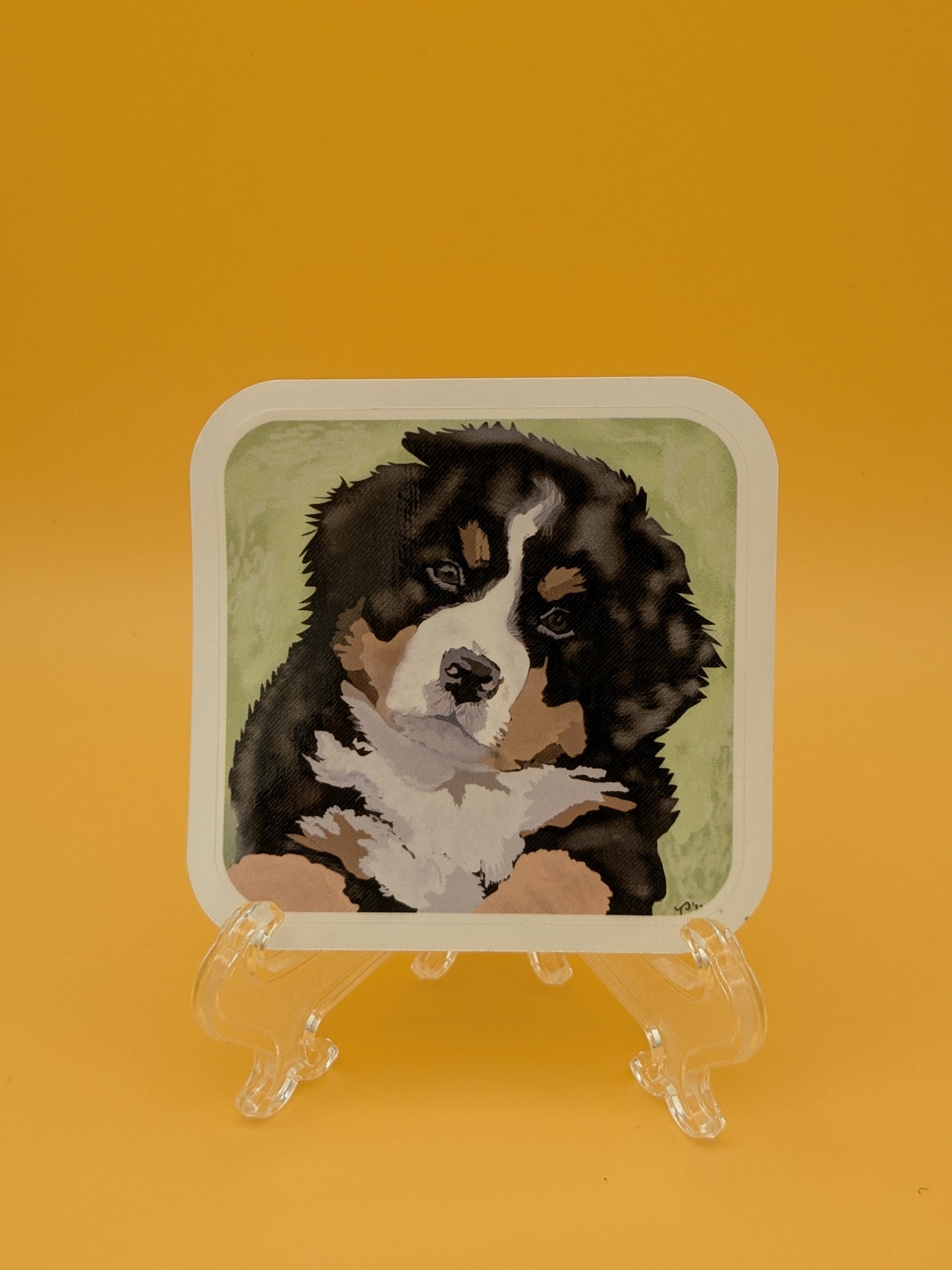 Berner Pup
