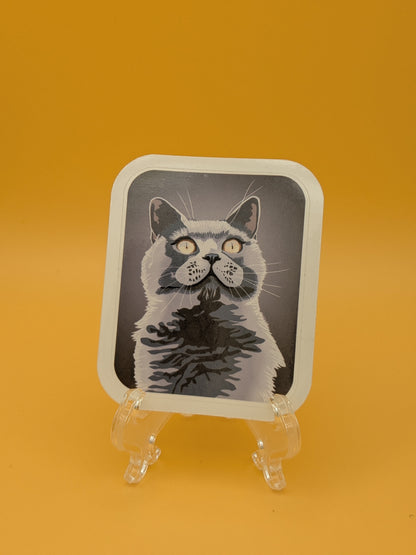 Gray Cat