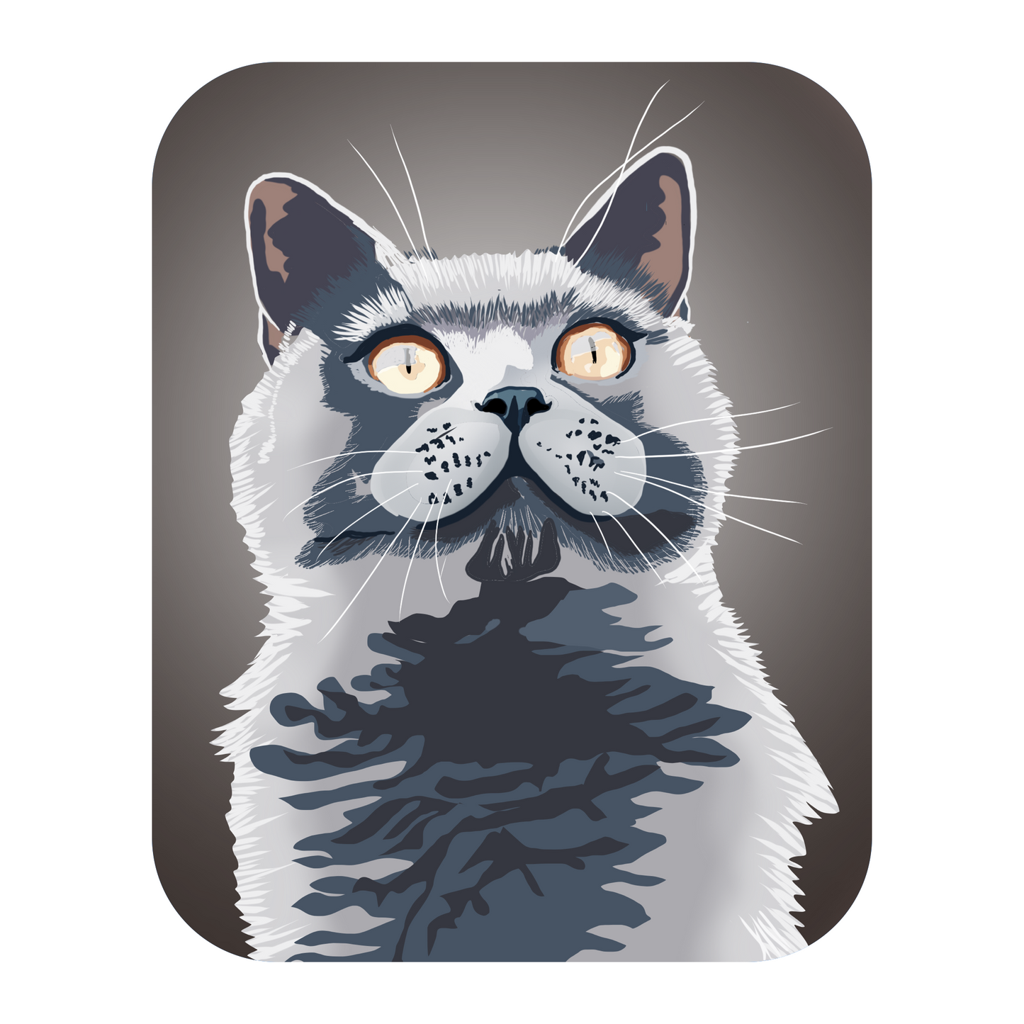 Gray Cat