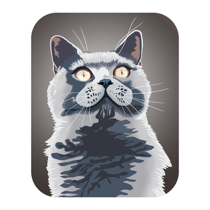 Gray Cat